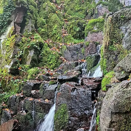 Le Clos Du Haslach *