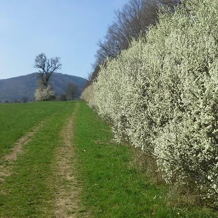 度假居 Le Clos Du Haslach