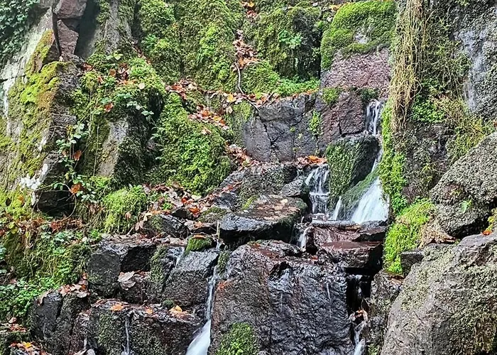 Le Clos Du Haslach *